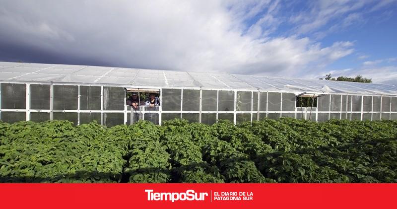 INDAP y Gobierno de Magallanes invierten más de $212 millones para tecnificar la agricultura familiar
