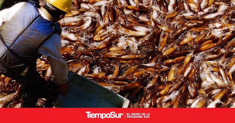 Las exportaciones pesqueras superaron los USD 1.000 millones