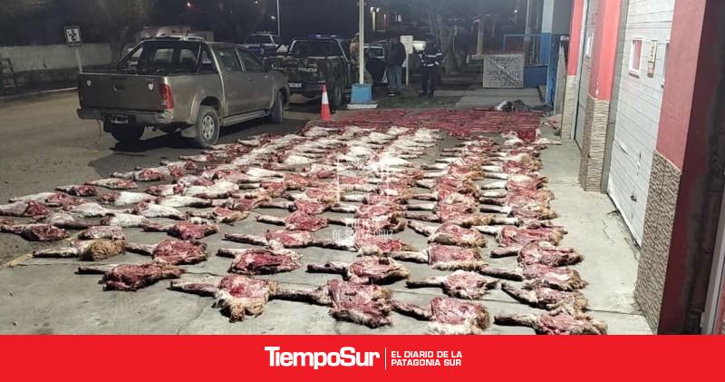 Secuestran armas y más de 190 piezas de carne ilegal en un operativo rural