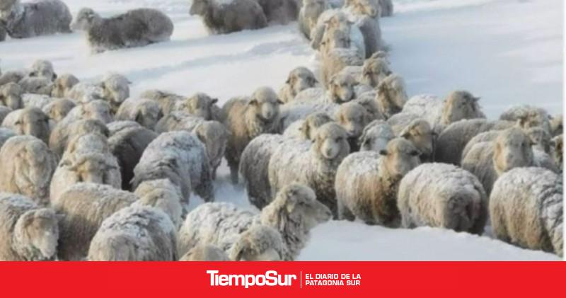 Ganadería con un invierno benigno, pero con preocupación por la sequía