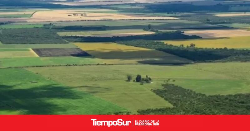 Cómo regulan paises vecinos la compra de campos por extranjeros