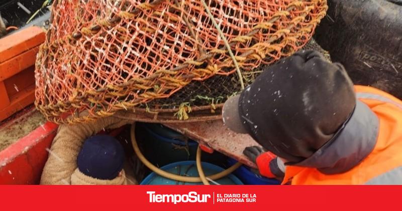 Incautan 1.000 metros de redes centolleras en zona de pesca