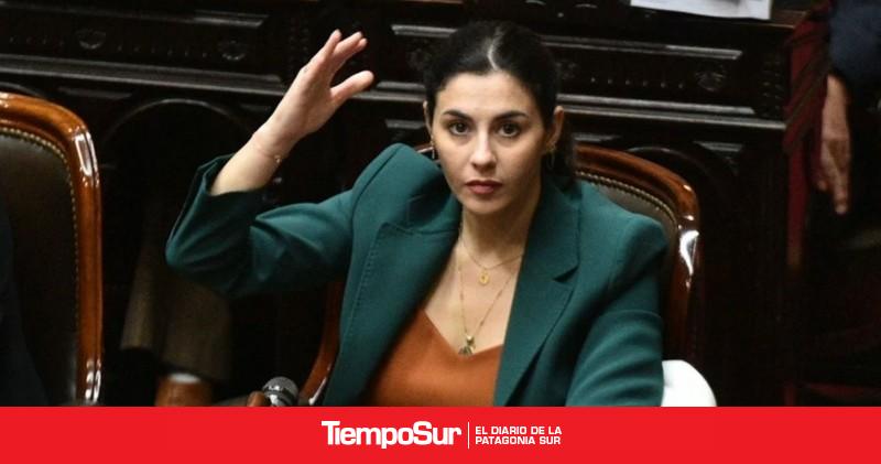Piden que la Selección argentina sea recibida en el Congreso