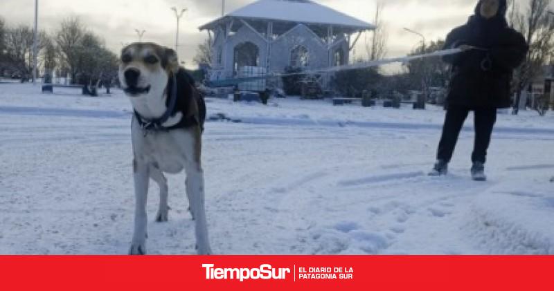 Río Gallegos amaneció con -9,4° y una sensación térmica de -17,5 °C