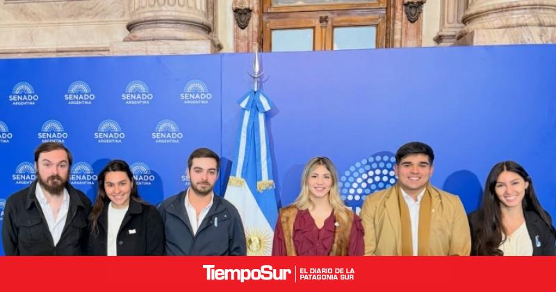 file 254446 zocalo801
