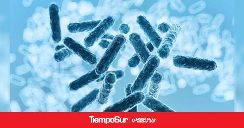 Día Mundial del USH: ¿Qué es el Síndrome Urémico Hemolítico?