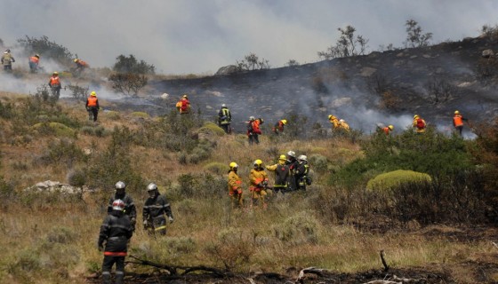 Los brigadistas en plena labor. (Telam)