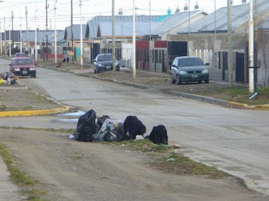 ASI TRABAJAN LOS RECOLECTORES DE BASURA