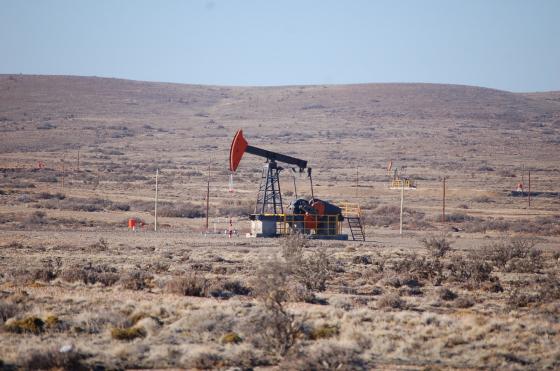 Se registró en la zona de los yacimientos Los Perales, y Río Mayo. 