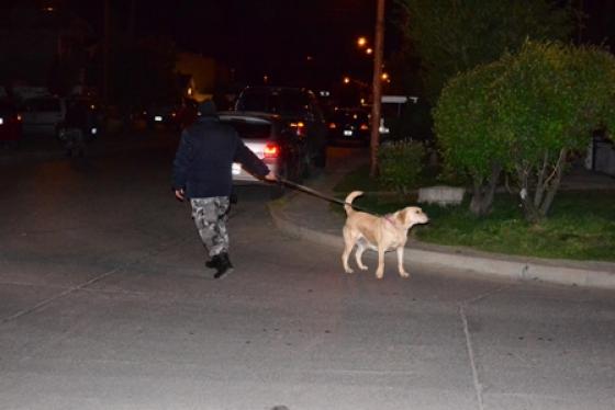 La división Canes participó en los controles. (Foto: C. R)