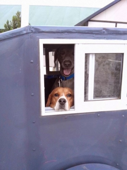 Construyeron un carro especial para viajar con sus perros