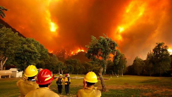El drama por los incendios en Chubut: animales muertos y más de 20 mil hectáreas arrasadas