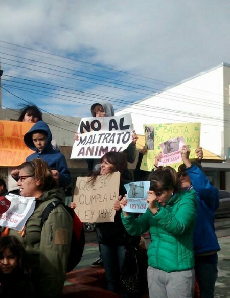 Protectoras se hicieron presentes en el izamiento dominical (Foto Facebook).