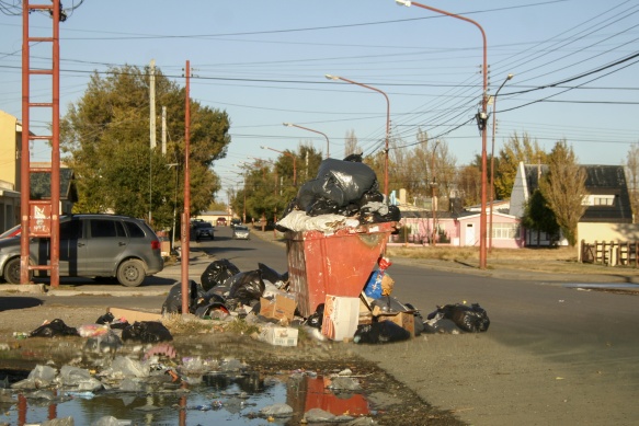 Así se encontraban los contenedores antes de la limpieza (C.G)