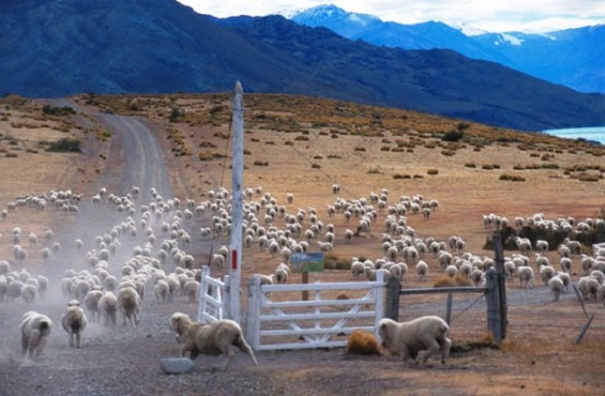 Modificación de legislación que procura beneficiar las inversiones extranjeras