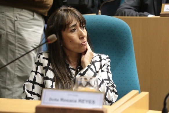 Roxana Reyes, diputada provincial por la UCR